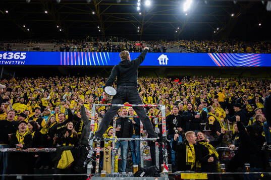 Spectators in the stands