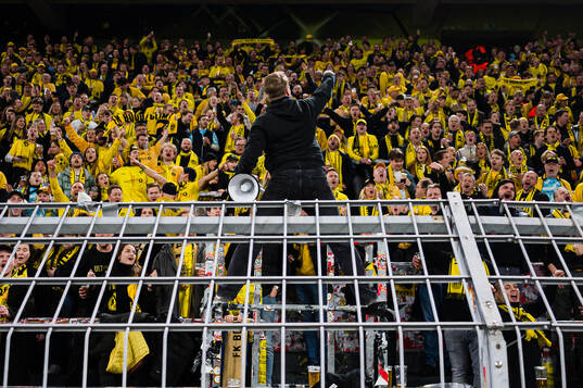Spectators in the stands