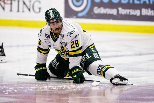 Björklövens Mathew Maione