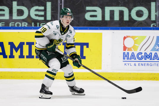 Björklövens Liam Dower Nilsson