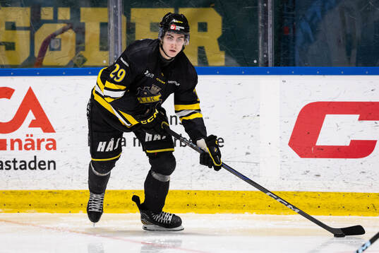 AIKs Daniel Ljungman
