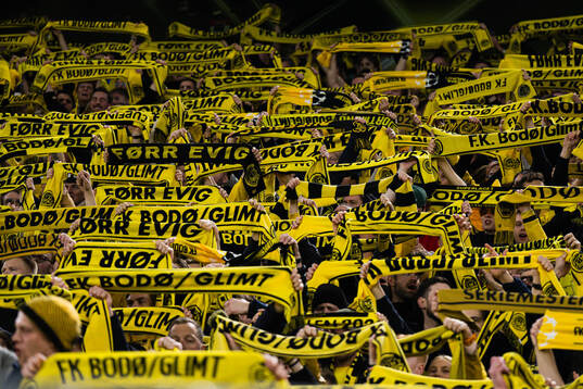 Spectators in the stands
