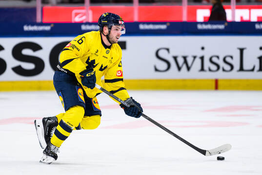 Erik Brännström of Sweden in the ice hockey game between