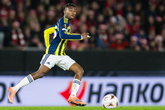 Dorgeles Nene of Fenerbahce
