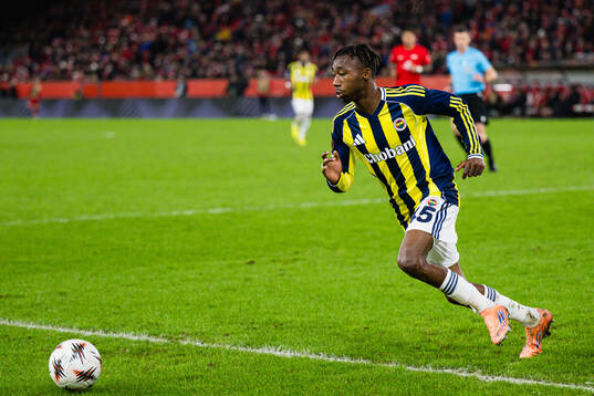 Dorgeles Nene of Fenerbahce