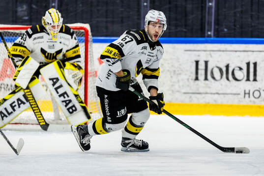 Västerås Konstantin Komarek
