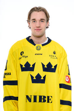 Lucas Pettersson poses for a portrait