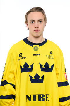 Linus Eriksson poses for a portrait