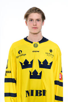 Victor Johansson poses for a portrait
