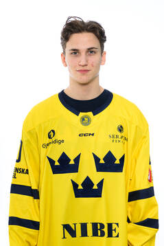Victor Eklund poses for a portrait