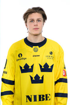 Ivar Stenberg poses for a portrait