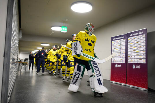 Players of Sweden