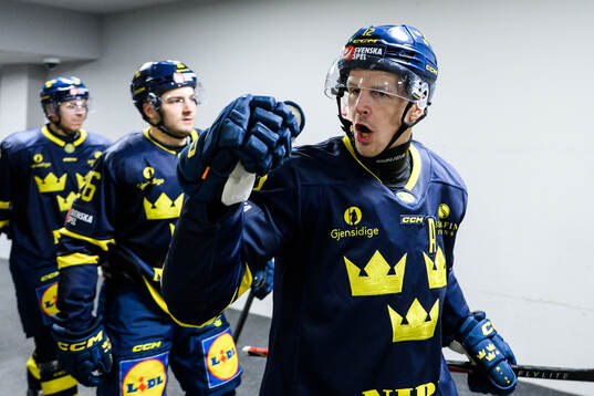 Max Friberg  of Sweden