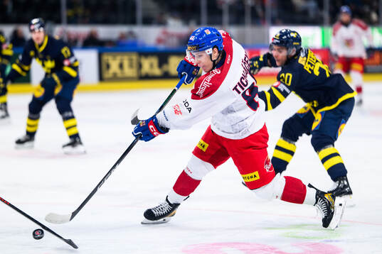 Jirí Tichacek of Czech Republic in the ice hockey game