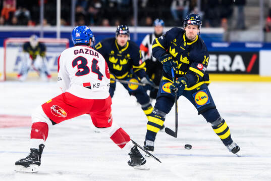 Robert Hägg of Sweden in the ice hockey game between Czech
