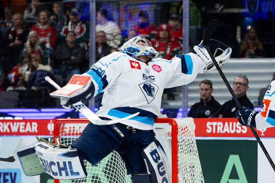 Goaltender Nico Pertuch of Ingolstadt