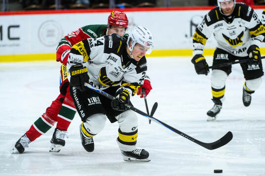 Västerås Sebastian Falk