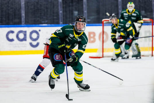 Leo Sundqvist
