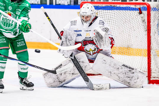 Rögles målvakt Viktorie Svejdova