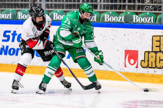 Rögles Mella Liegnell