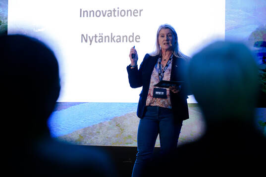 Anette Andersson, hållbarhetsstrateg SEB