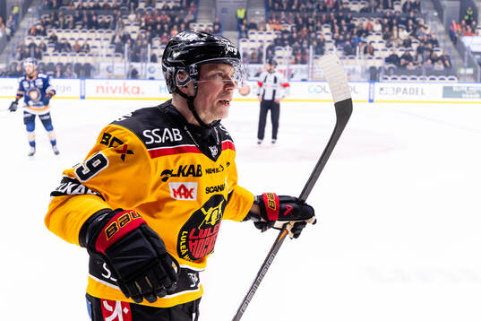 Luleås Erik Gustafsson jublar