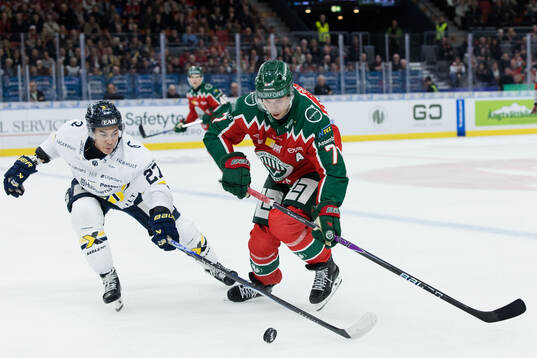 HV71s Jonathan Ang och Frölundas Henrik Tömmernes