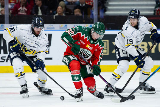 HV71s Lukas Rousek och Niklas Hansson i kampp med