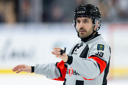 Domare Mattias Enroth