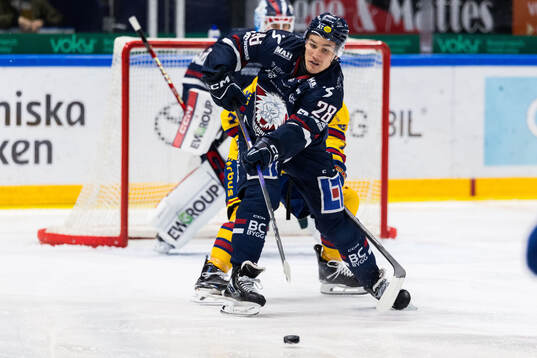 Bläddra bland fler bilder av Ishockey, SHL, Linköping - Djurgården