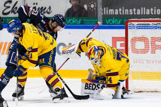 Linköpings Adam Hofbauer och Djurgårdens målvakt Daniel