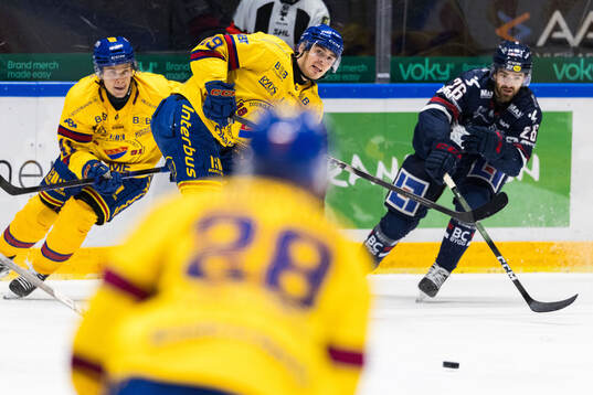 Djurgårdens Håvard Salsten