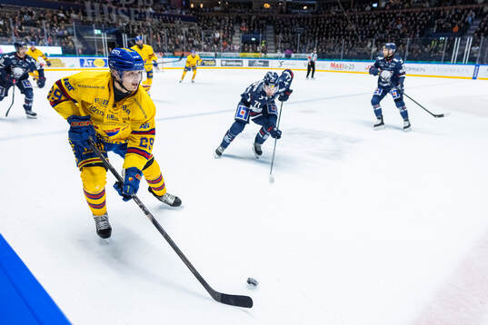 Djurgårdens Håvard Salsten