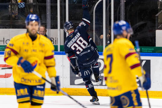 Linköpings Johan Södergran jublar