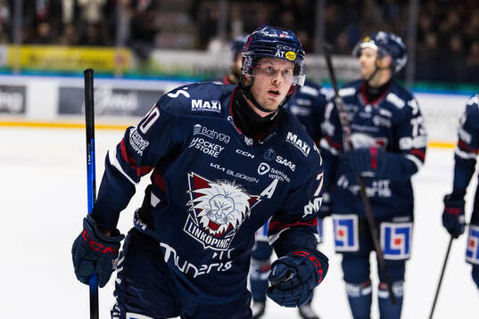 Linköpings Fredrik Karlström jublar