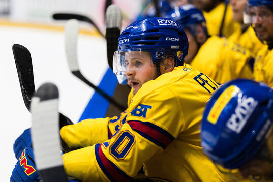 Djurgårdens Mathias Emilio Pettersen deppar