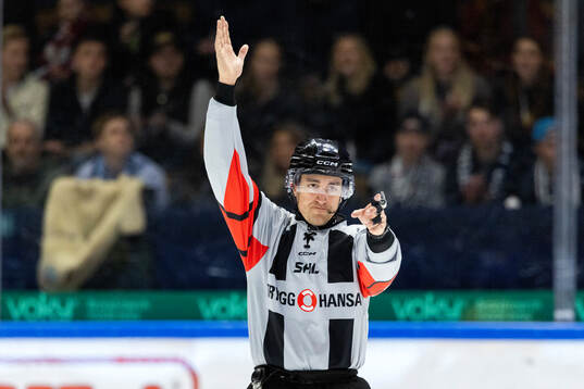 Domare Kristoffer Folkstrand