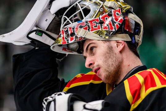 Brynäs målvakt Damian Clara
