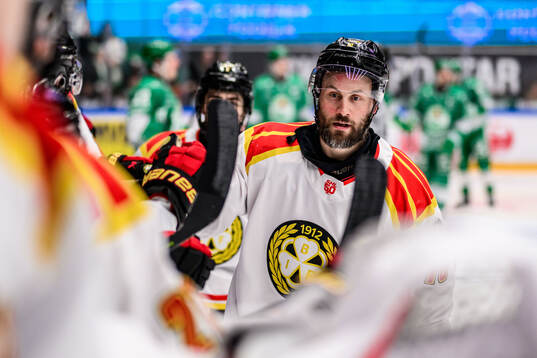 Brynäs Johan Larsson jublar