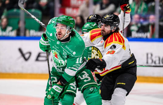 Rögles Dennis Everberg och Brynäs Luke Witkowski