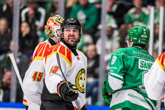 Brynäs Luke Witkowski