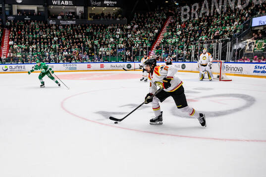 Brynäs Tyler Vesel