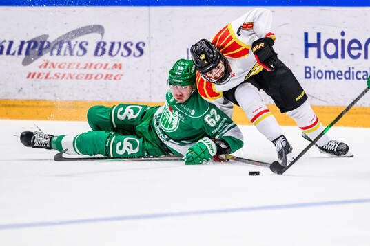 Rögles Lubos Horky och Brynäs Bobby Trivigno