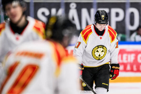 Brynäs Mattias Norlinder deppar