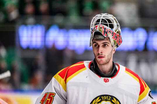 Brynäs målvakt Damian Clara