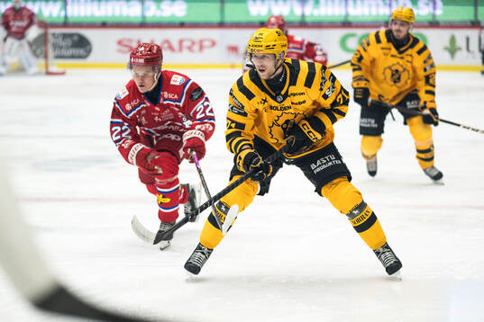 Timrås Edwin Annerstedt och Skellefteås Jonathan Davidsson