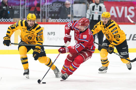 Bläddra bland fler bilder av Ishockey, SHL, Timrå - Skellefteå