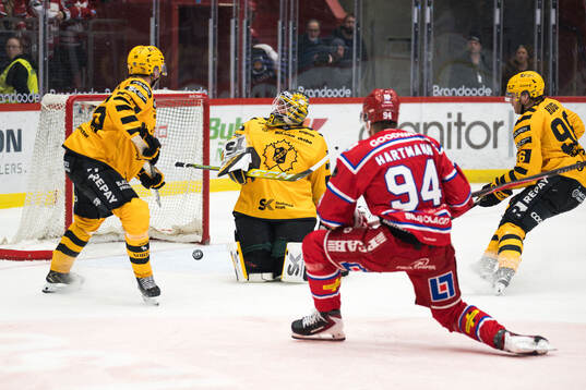 Skellefteås målvakt Strauss Mann och Timrås Sebastian
