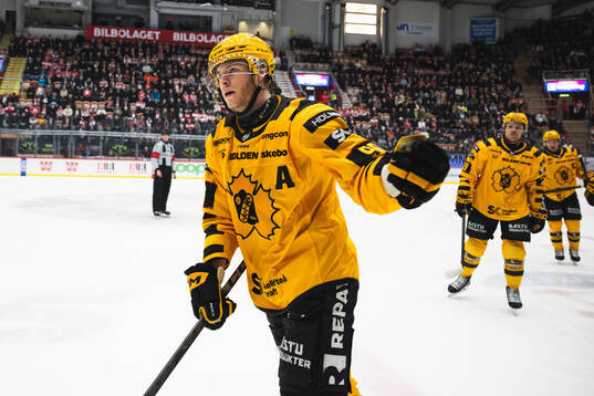 Skellefteås Rickard Hugg jublar