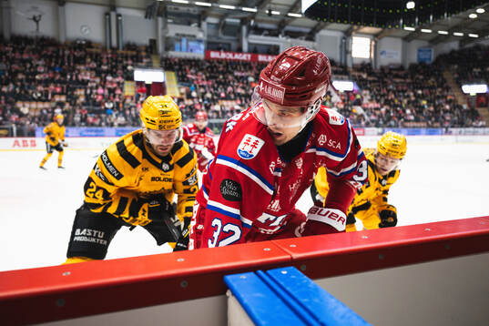 Timrås Anton Lundmark